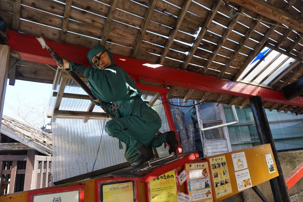 佐賀県 嬉野温泉 忍者村 入園割引き券 遊園地・テーマパーク