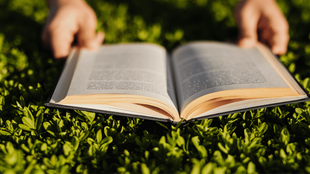 毎日読み聞かせ